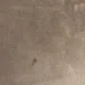 Stanley Steemer International - furniture steam cleaning - Photo 7