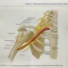 McGraw-Hill Global Education Holdings - atlas of sonoanatomy for regional anesthesia and pain medicine by manoj k karmakar, edmund soh, victor chee, kenneth sheah - Photo 1