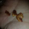 My M&M's - peanut m&ms - Photo 1