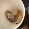 Tim Hortons - metal hair pin in my tea!