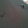 Jetstar Airways - damaged suitcase - Photo 1