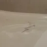 Days Inn - no refund given - Photo 2
