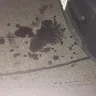 Midas - oil change - Photo 1