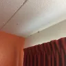 Motel 6 - room - Photo 5