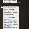 Philippine Long Distance Telephone [PLDT] - no landline, no internet but on time collection - Photo 3