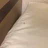 Motel 6 - dirty room bed bugs no air-conditioner that works - Photo 3