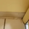 Days Inn - report dirty, unkempt hotel - Photo 2