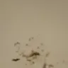 Days Inn - report dirty, unkempt hotel - Photo 6
