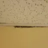 Days Inn - report dirty, unkempt hotel - Photo 11