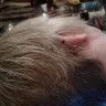 MasterCuts - haircut - Photo 1