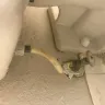 Americas Best Value Inn - roaches & dirty rooms - Photo 11