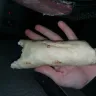Sonic Drive-In - sausage egg and cheese burrito - Photo 1