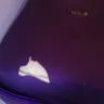 Air India - my suitcase severely damaged by air india - Photo 1