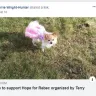 Facebook - Fraudulent funding campaigns - Photo 10