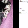 Facebook - Fraudulent funding campaigns - Photo 18