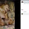 Facebook - Fraudulent funding campaigns - Photo 19
