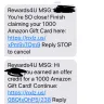 USA Rewards Spot - offered 1000 amazon gift card - paying for nothing received