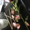 Serenata Flowers - the poor quality of the flowers - Photo 2