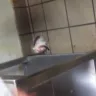 Dairy Queen - owner/unhealthy work environment - Photo 3