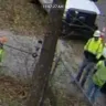 Asplundh Tree Expert - trespassing and property damage - Photo 1