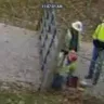 Asplundh Tree Expert - trespassing and property damage - Photo 2