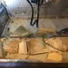 D.R. Horton - Leaking faucet at kitchen sink - Photo 4