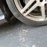 Discount Tire - tire quality, multiple replacements, and now have another bulging tire. - Photo 1