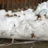 Home Depot - order and delivery services - this is my second complaint - Photo 12