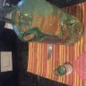 Bacardi - bacardi rum bottle glass - Photo 3