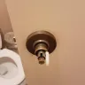 Wyndham Vacation Ownership - bed bug infestation - compensation not offered - Photo 2