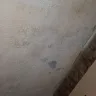 Wyndham Vacation Ownership - bed bug infestation - compensation not offered - Photo 4