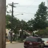 Asplundh Tree Expert - historic neighborhood tree killers - Photo 1