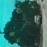 Asplundh Tree Expert - historic neighborhood tree killers - Photo 4