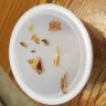 Wylwood - french fried onions; had too many onion peels (outside of the onion)