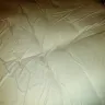 Aaron's - beautyrest bed - Photo 2