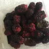 Coles Supermarkets Australia - berries with mould - Photo 1