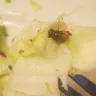 Olive Garden - dirty and poor customer service - Photo 1