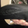 JC Penney - arizona jean slouchy boots