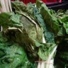 Shoprite Checkers - spinach - Photo 1