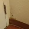 Motel 6 - dirty unkempt room - Photo 10