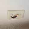 Americas Best Value Inn - room condition - Photo 2