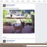 Sherrone Annette Boudreau - receiving fraudulent donations for ill pet funding and abusive breeding practice