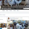 Sherrone Annette Boudreau - receiving fraudulent donations for ill pet funding and abusive breeding practice