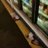 Dollar Tree - the whole entire store - Photo 12