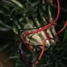 Costway - 4ft fiber optic christmas tree