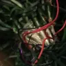 Costway - 4ft fiber optic christmas tree - Photo 1