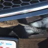 Google - acura paint issues - Photo 1