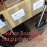 Singapore Airlines - damaged baggage/souvenir