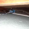 Americas Best Value Inn - extension on stay - Photo 3