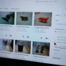 Etsy - etsy removed me items for sale after being paid 480.00 worth of listings 2488 of them. - Photo 3